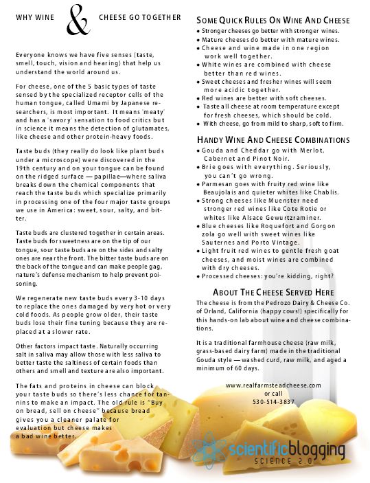 scientific blogging science of wine and cheese flyer